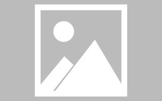 新疆制作网站发布信息（网站如何发布信息）